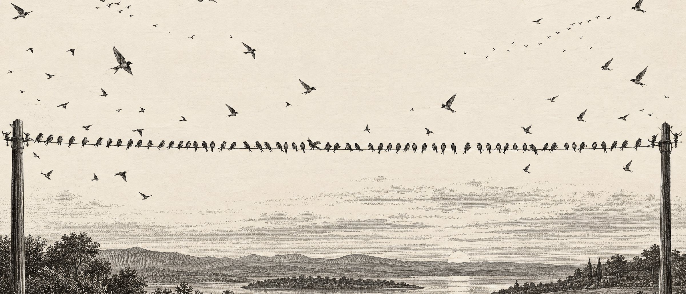 An engraving of a flock of birds settling together on one long telegraph wire